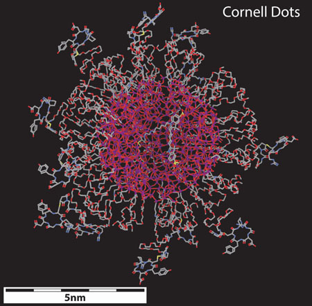 Cornell dots research collaboration leads to a US$10m cancer centre