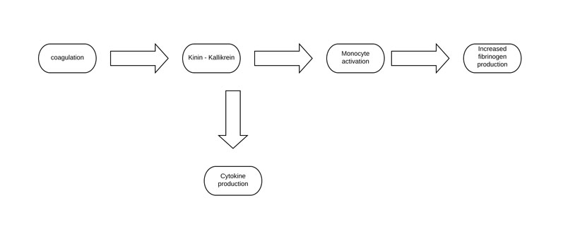 COVID-19: a tale of two conditions
