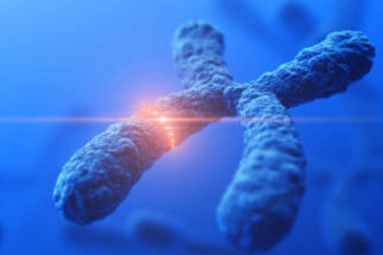 CPhI releases concluding report on trends in biologics
