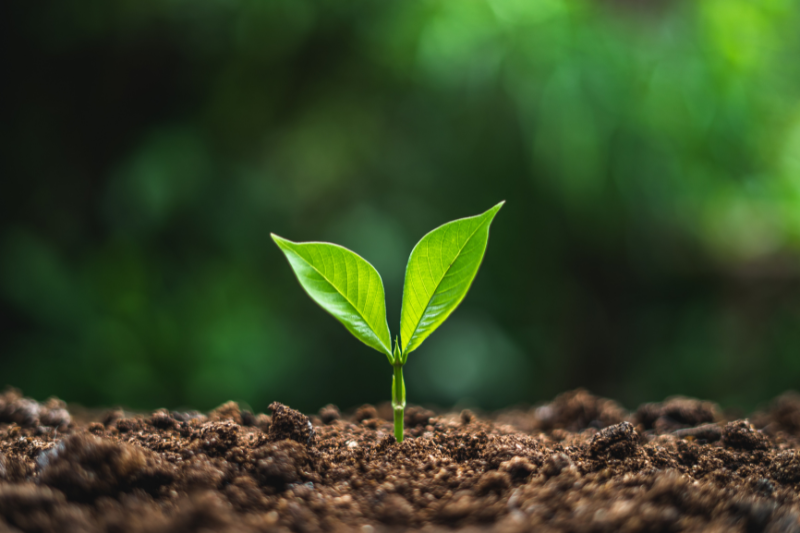 CPHI to include Sustainability Summit in this year's Milan show