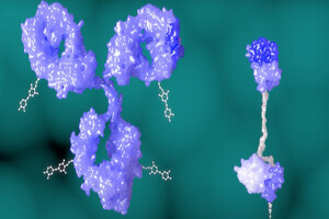 Crescendo Biologics recognised at OBN awards
