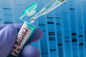 CRISPR gene editing technology licence extended