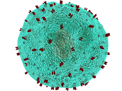 Crown Bioscience collaboration to develop CTLA-4 antibody 
