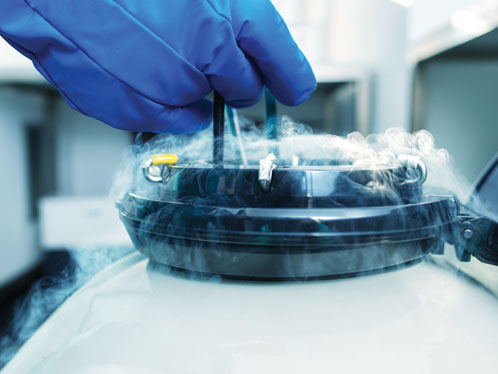 (Cryo)preserving your research
