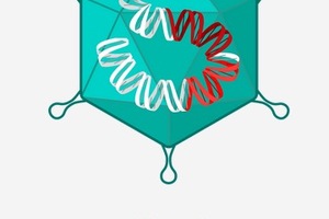 CTA for armed oncolytic virus treatment of solid tumours