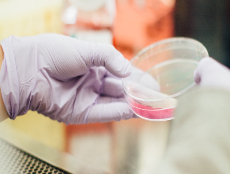 Cytiva to assist Caring Cross charity with HIV cell therapy development