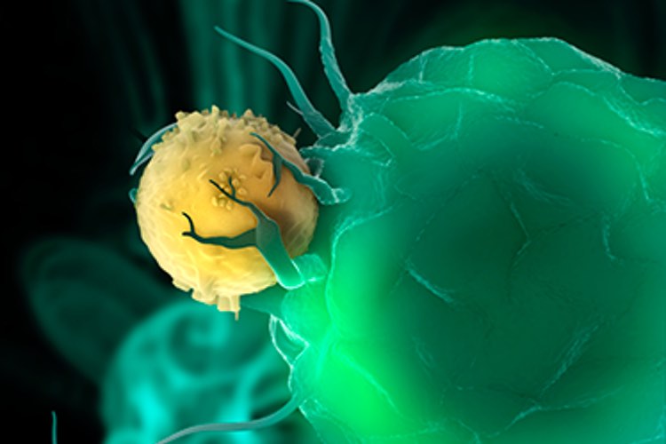 Data shows intranodal mRNA immunotherapy is clinically feasible