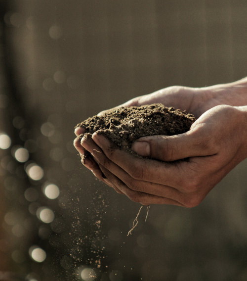 Datwyler refocuses on sustainability and social responsibility