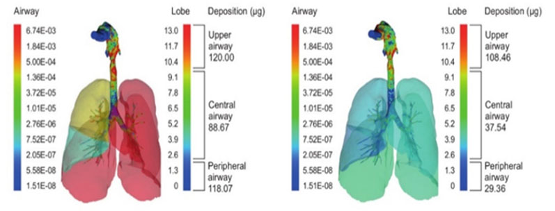Figure 1: In silico lung deposition modelling for a smart jet nebuliser (left) versus a conventional jet nebuliser (right)