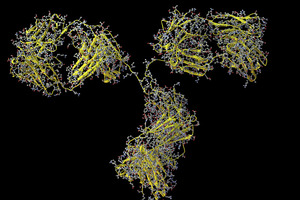 Derisking and accelerating oral peptide delivery via computational drug development tools
