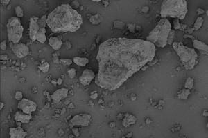 DFE Pharma expands its inhalation portfolio with the launch of Lactohale 400