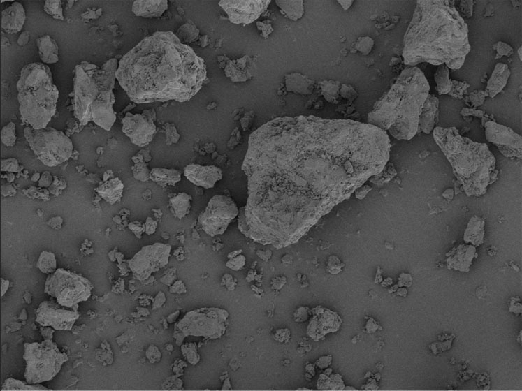 DFE Pharma expands its inhalation portfolio with the launch of Lactohale 400