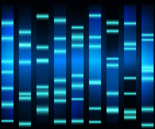 Diatech Pharmacogenetics acquires SensoQuest and launches Labcycler to enter the lab instrumentation market