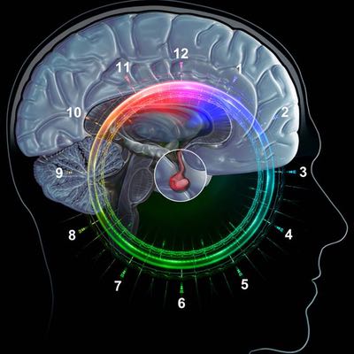 Diurnal receives second Chronocort patent