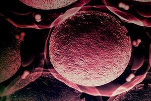 DNA ImmunoBody patent granted in Europe
