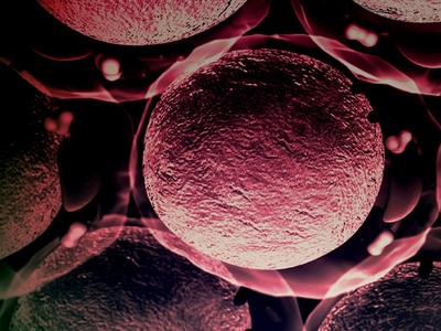DNA ImmunoBody patent granted in Europe
