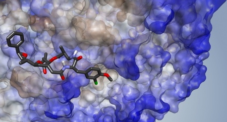 Doctoral students to develop anti-tumour drugs that do not harm healthy cells