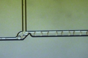 Dolomite and GigaGen develop droplet merging technology