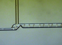 Dolomite and GigaGen develop droplet merging technology