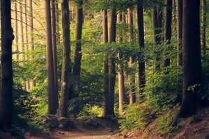 DOMO Chemicals publishes sustainability report
