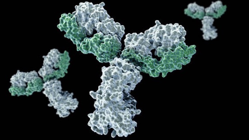 DotBio launches focusing on immuno-oncology drugs