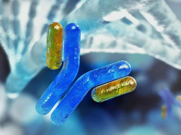 Driving biotherapeutic development with advanced molecule characterisation 
