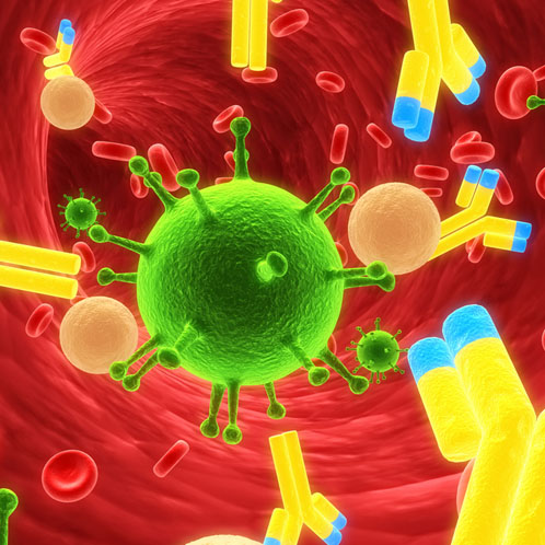 Drug development in neuroimmunology to witness strong growth in the 8MM

