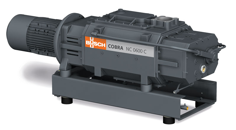 Dry vacuum technology for chemical and pharmaceutical processes
