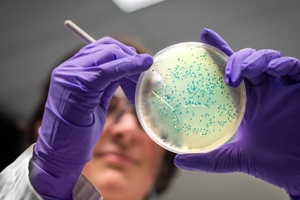 DuPont enters microbiome therapy collaboration with MRM Health