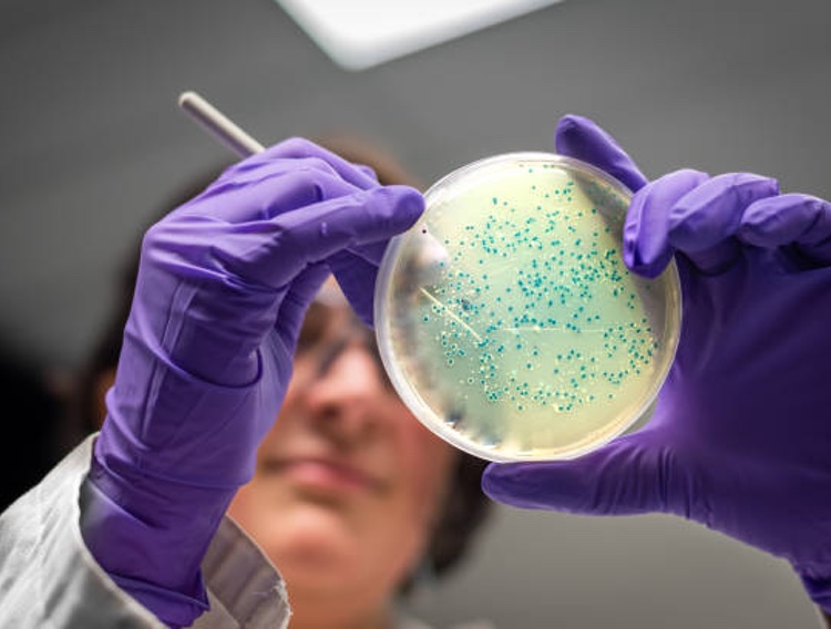 DuPont enters microbiome therapy collaboration with MRM Health