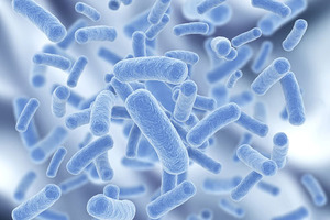 DuPont study shows role for nasal microbiota in response to viruses