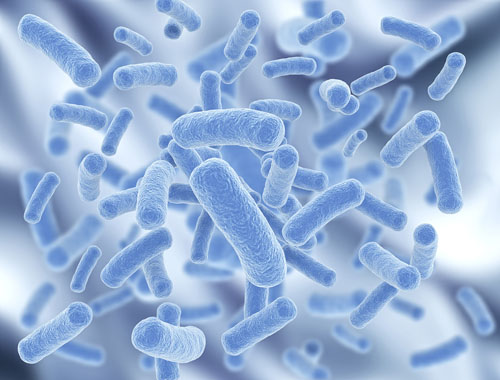 DuPont study shows role for nasal microbiota in response to viruses
