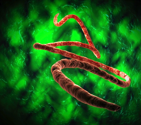 Ebola outbreak poses major drug research and development challenges