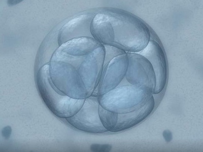 Editing human embryos to prevent genetic disorders 