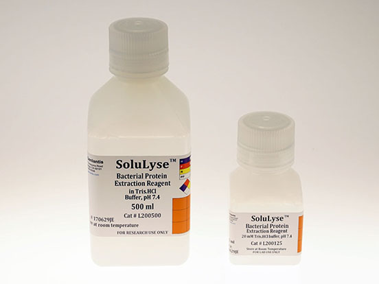 Efficient extraction of proteins from bacterial cells
