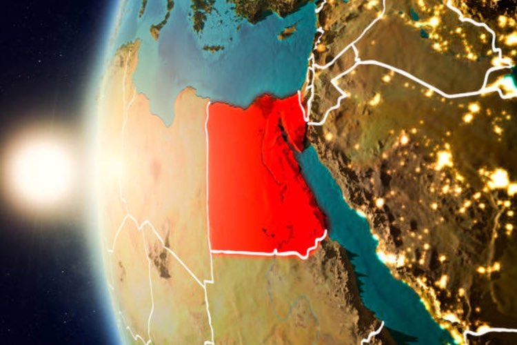 Egypt obtains French insulin materials in bid to be self-sustaining