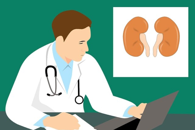 Eleva granted European Orphan Drug Designation for Factor H therapy to treat C3 glomerulopathy