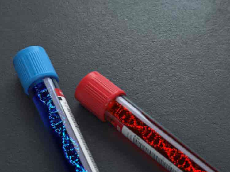 ElevateBio signs 10-year cell and gene alliance with Massachusetts hospital