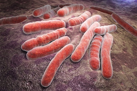 EMA consults on revised guidance for tuberculosis drugs development