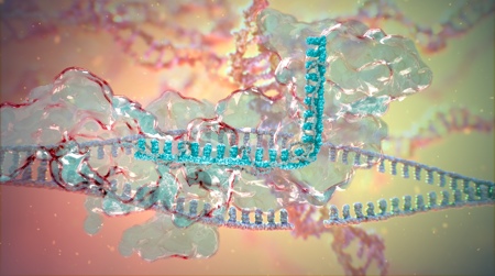 EMBO Installation Grant supports new genome editing lab at Vilnius University