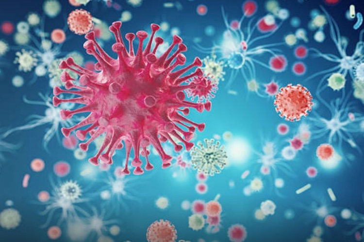 Emergex receives Innovate UK Grant to progress flu vaccine