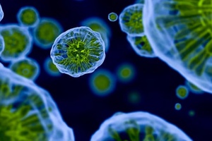Emergex to develop novel vaccines against viral diseases