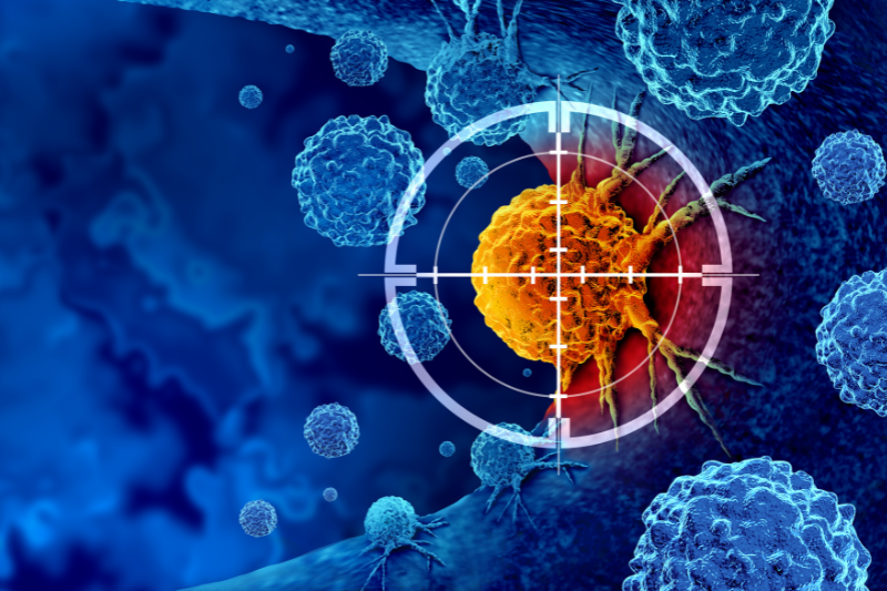 Enara Bio expands Boehringer Ingelheim partnership as DARKFOX programme moves toward the clinic