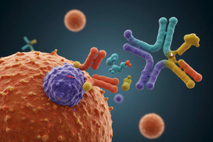 Engineering the future of bispecific antibody therapeutics