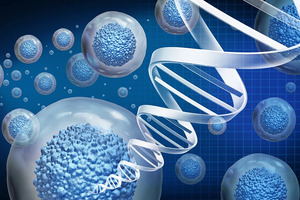 Ensuring cGMP compliance in cell and gene therapy manufacturing