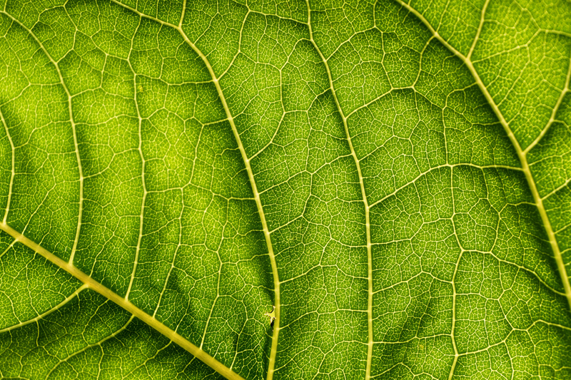 Envirotainer releases annual sustainability report