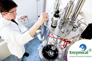 Enzymicals biocatalysts for straightforward synthesis of phosphorylated metabolites