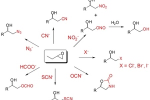 Enzymicals transfers industrially useful catalysts to pharma intermediate application