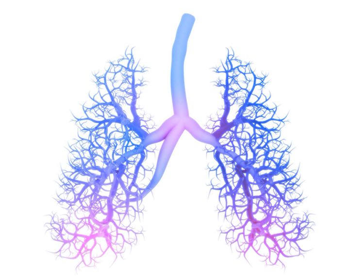 Equivir shows prophylactic COVID-19 results in independent testing