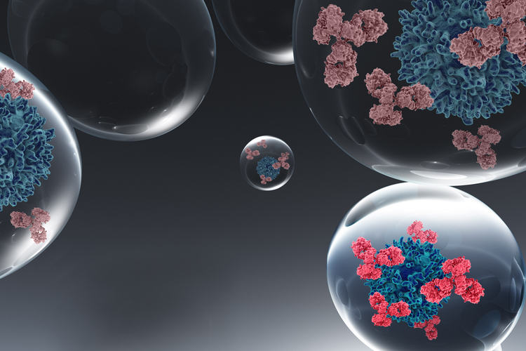 European collaboration begins development of antibody-based senolytics